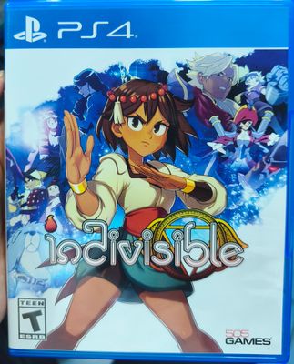 SJ1 Indivisible Playstation 4 Usado Completo