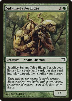 Sakura-Tribe Elder - Champions of Kamigawa (CHK)