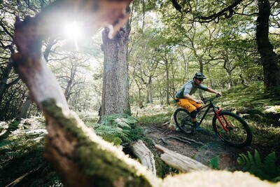 Hardtail