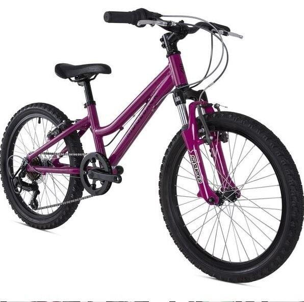 Ridgeback Harmony, Colour: Purple