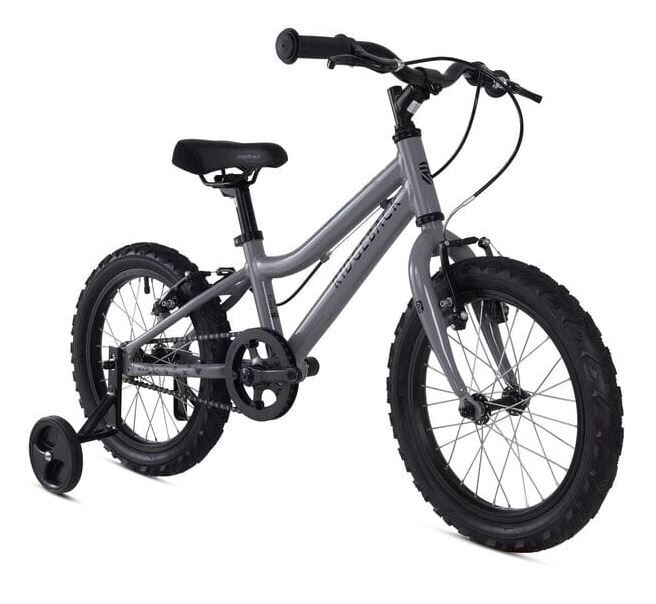 Ridgeback Mx16