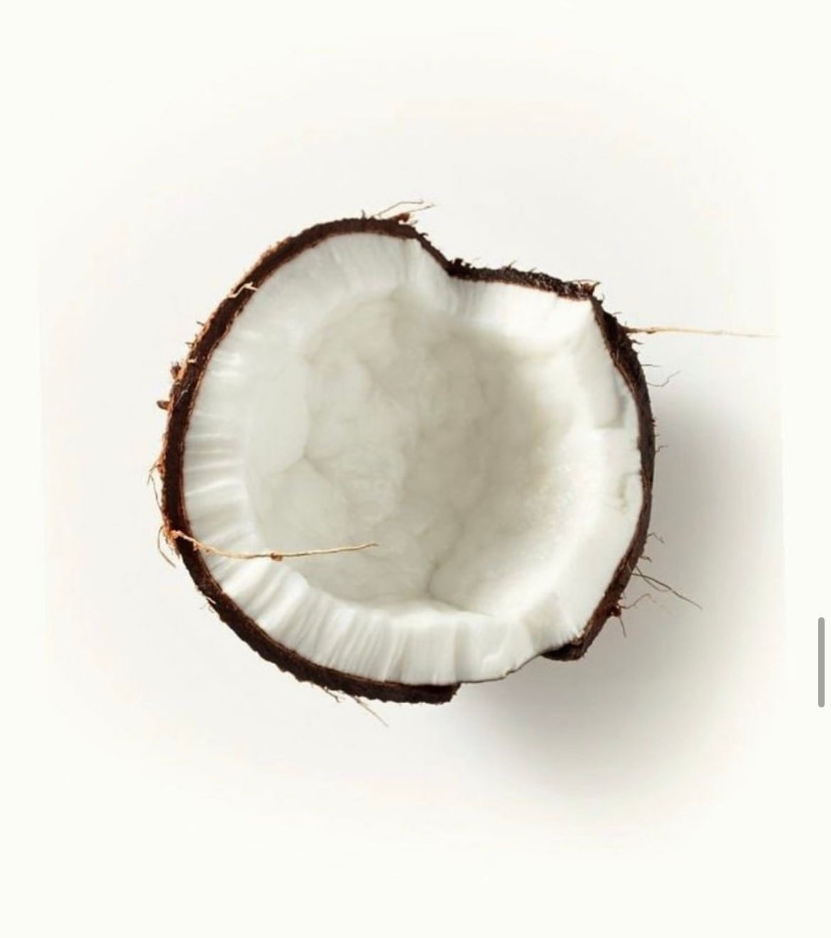 Pistachub Tropical Cream