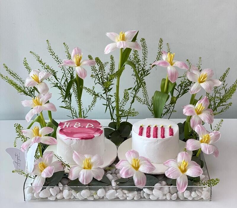 Twin mini cake
