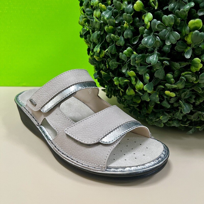 LILY GRIGIO