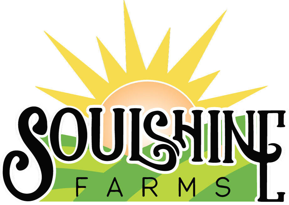 2025 City Lights Ticket (Soulshine Farms)