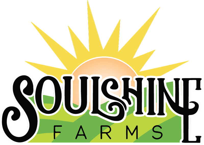 2025 City Lights Ticket (Soulshine Farms)