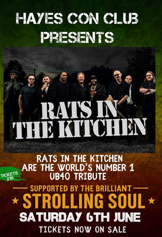 UB40 - Rats in The Kitchen