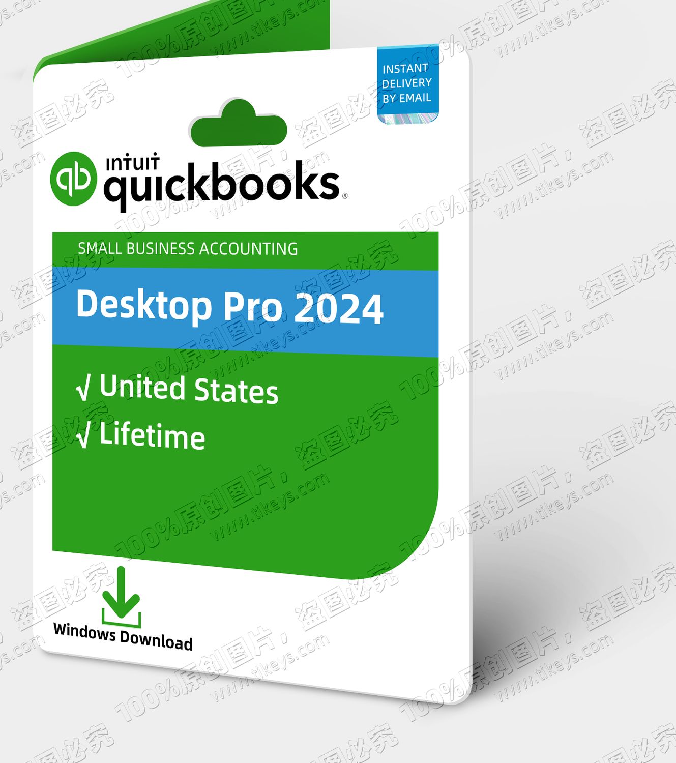 Intuit QuickBooks Desktop Pro Plus 2024