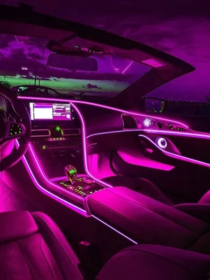 LED Neon Car Light