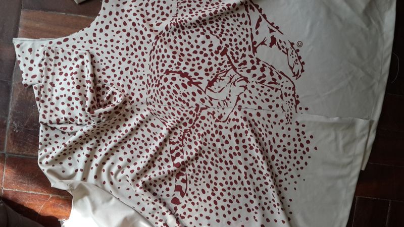 The Reality Behind the Dream....