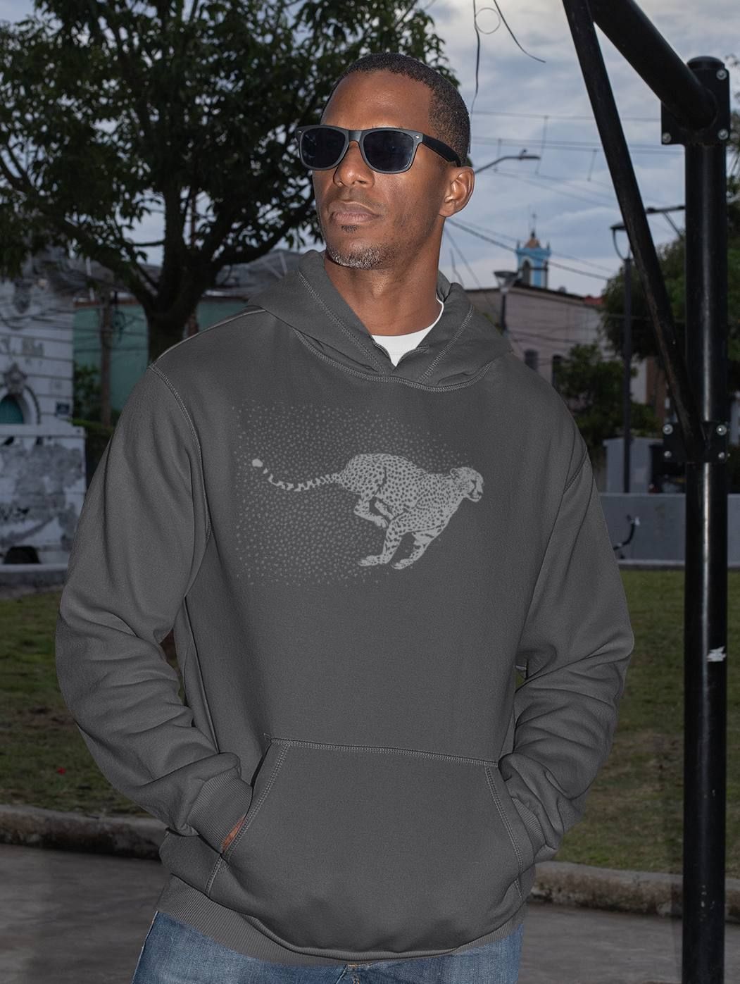 Cheetah - Made for Speed