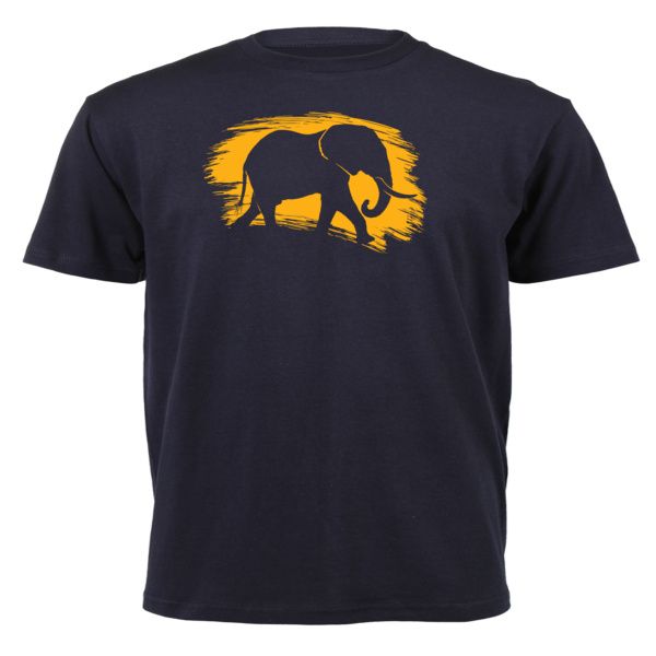 The Spirit of the Elephant