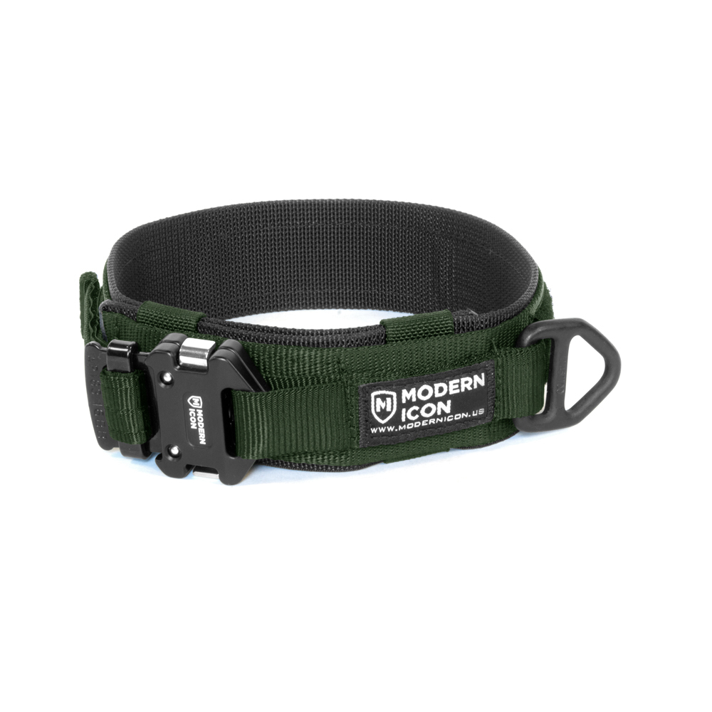 2″ Rigid Collar – Modern Icon 2″ Rigid Collar – Modern Icon