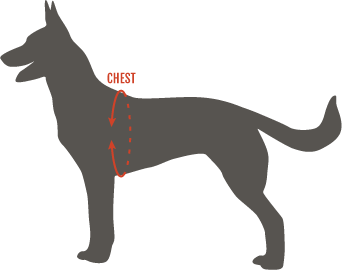 Patrol Harness – Modern Icon Patrol Harness – Modern Icon