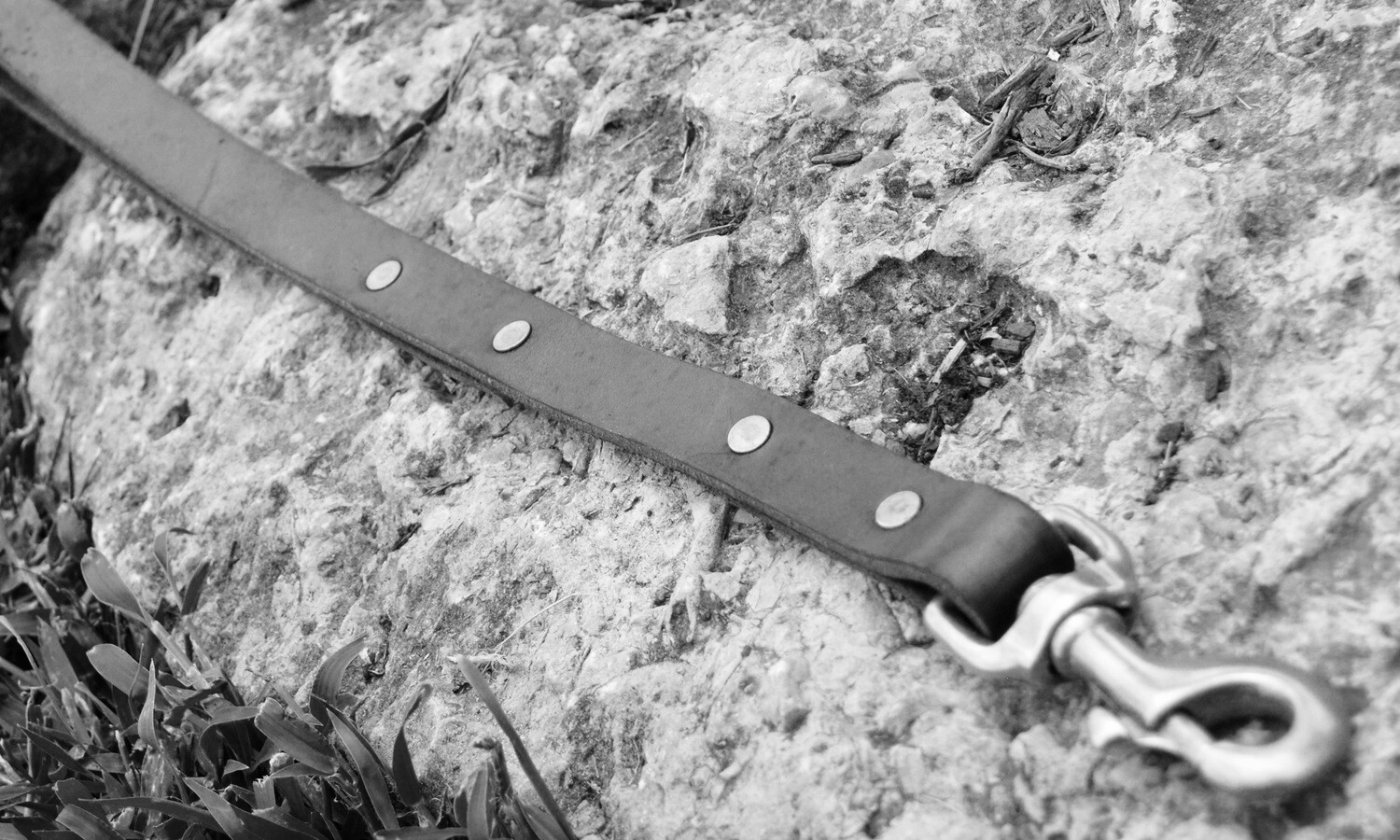House Lead