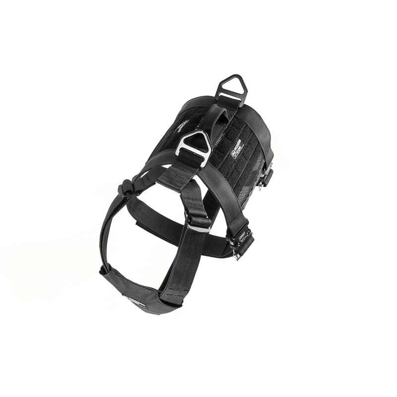 Tracking Harness – Modern Icon