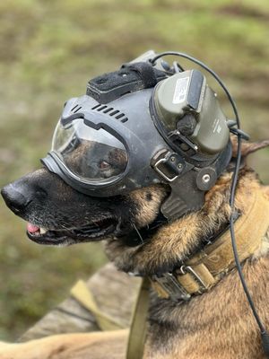 K9 Helm CS1-A2 Goggle Helm