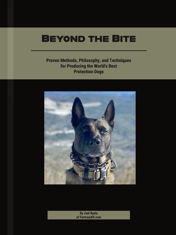 Beyond The Bite