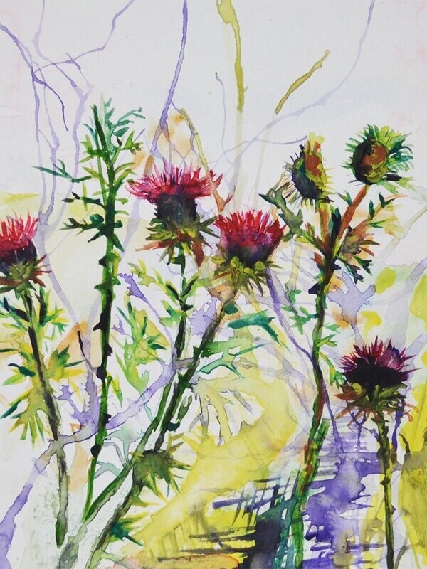 "Thistles in the Morning" Mounted Large Print of original watercolour