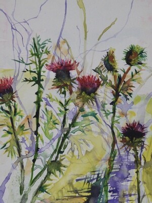 Thistles and Scotland