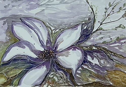 Special Price "Magnolia in her Glory" Watercolour and Ink