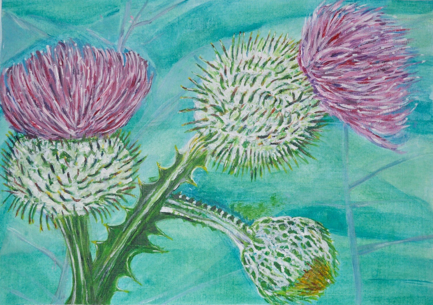 Print of Scottish Thistles