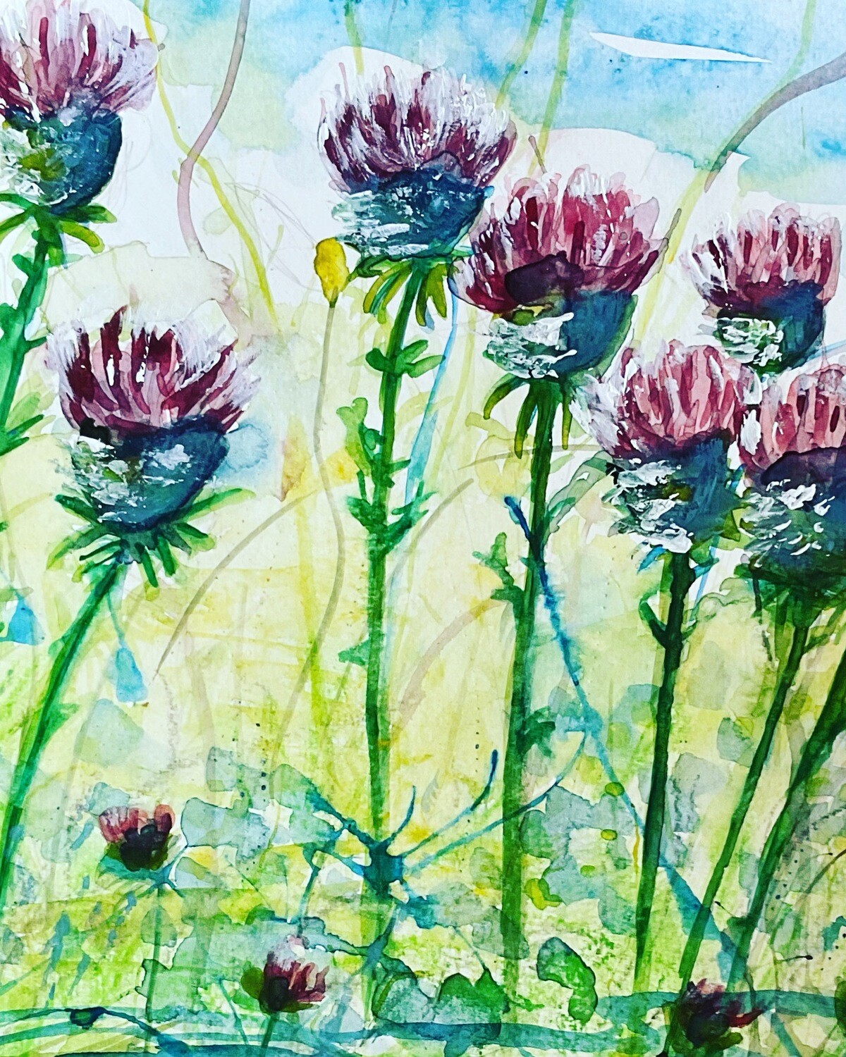 Scottish Thistles Print