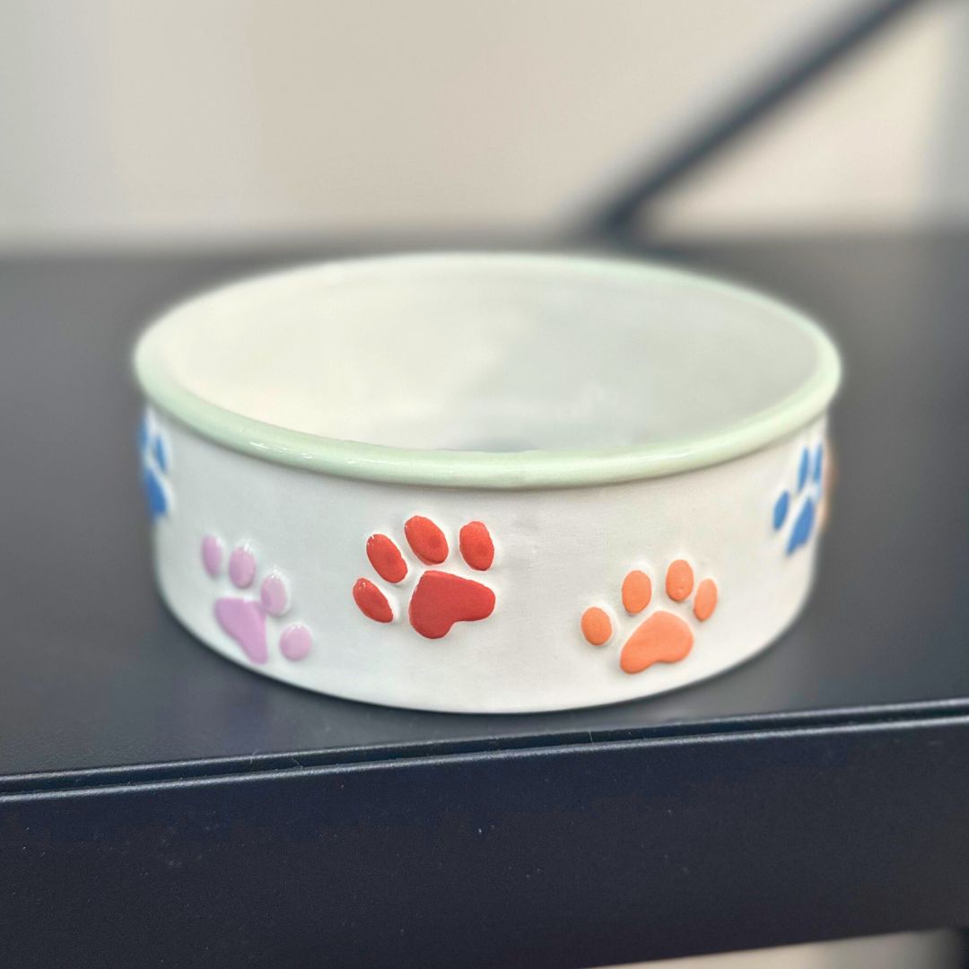 Perfect Pets - Paws Pet Bowl