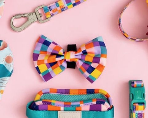Dream In Colour - Bow Tie