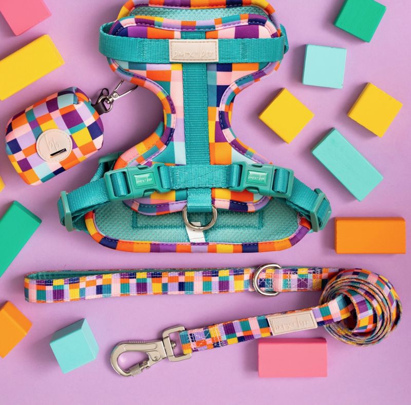 Dream In Colour - Dog Leash