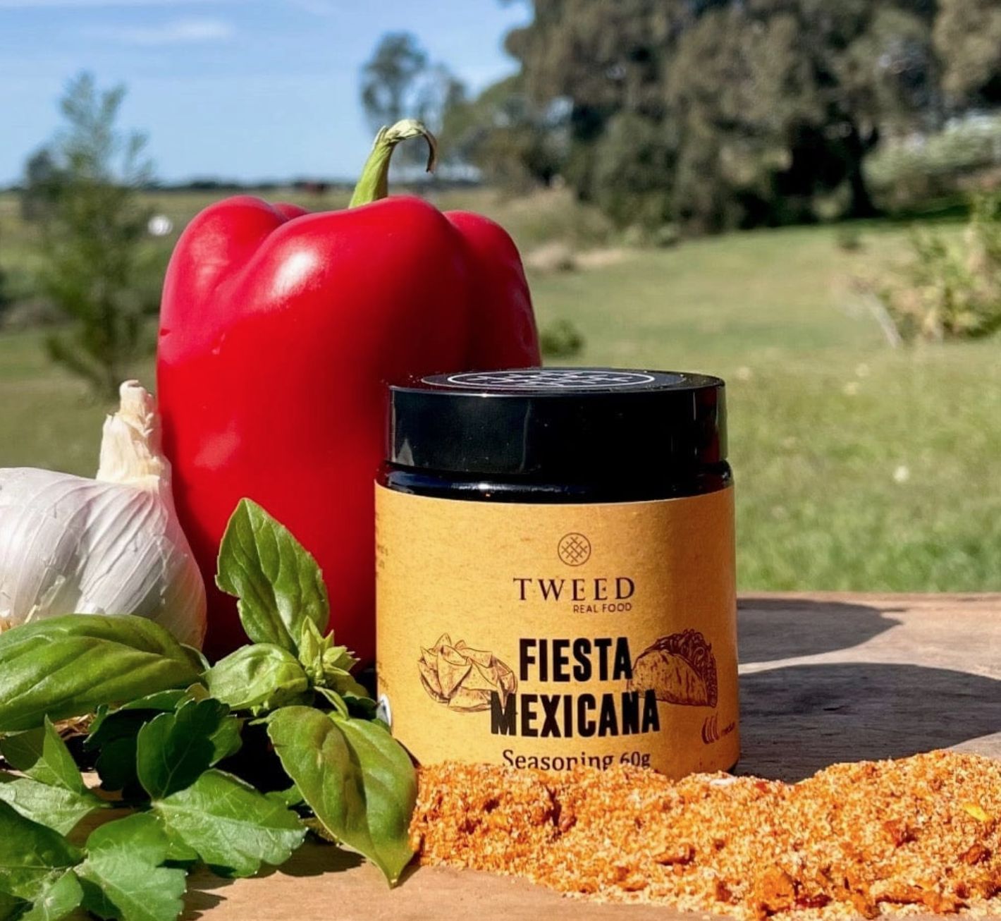 Fiesta Mexicana Seasoning