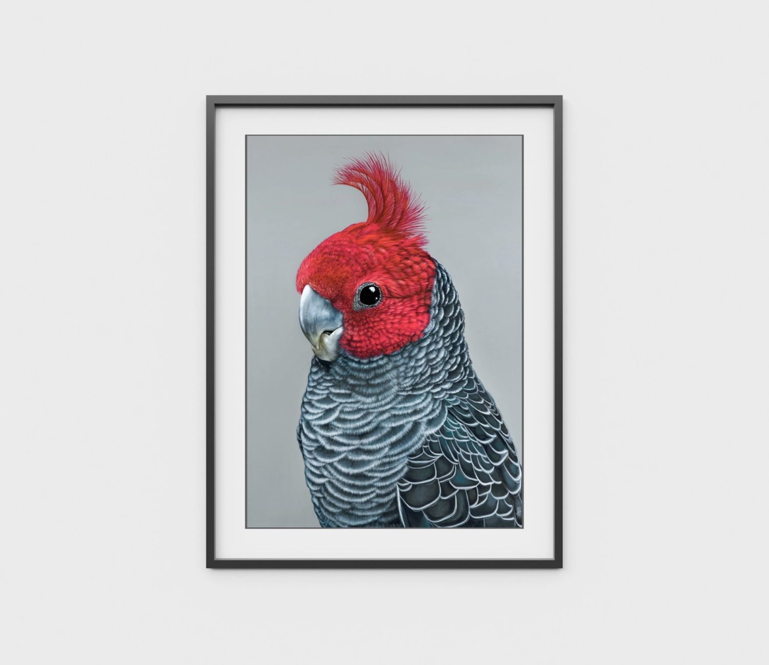 Frankie the Gang Gang Cockatoo A4 Art Print