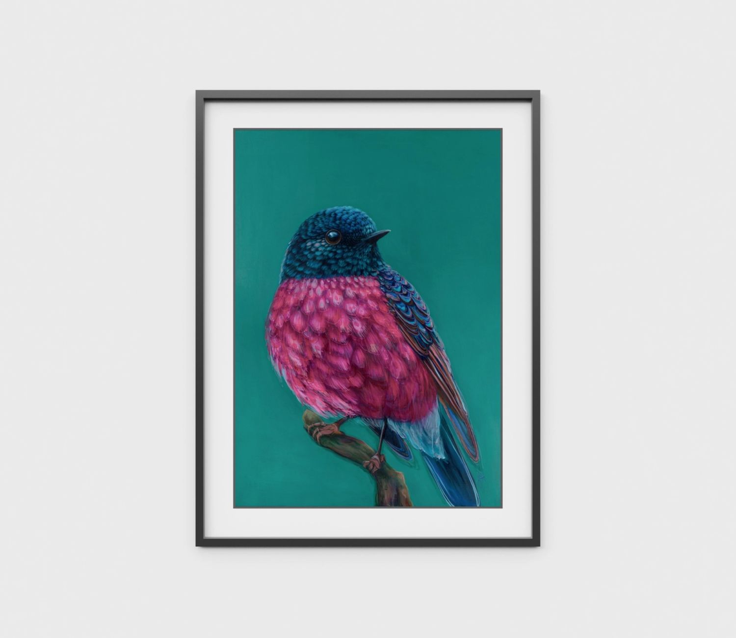 Roy the Pink Robin A4 Art Print
