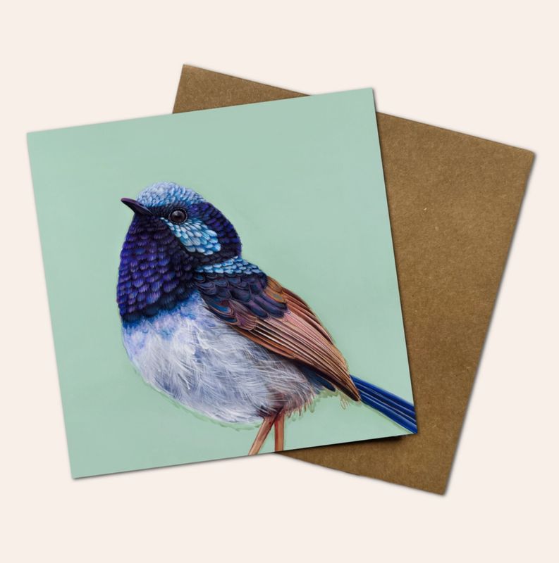 Pip the Superb Fairy Wren Greeting Card