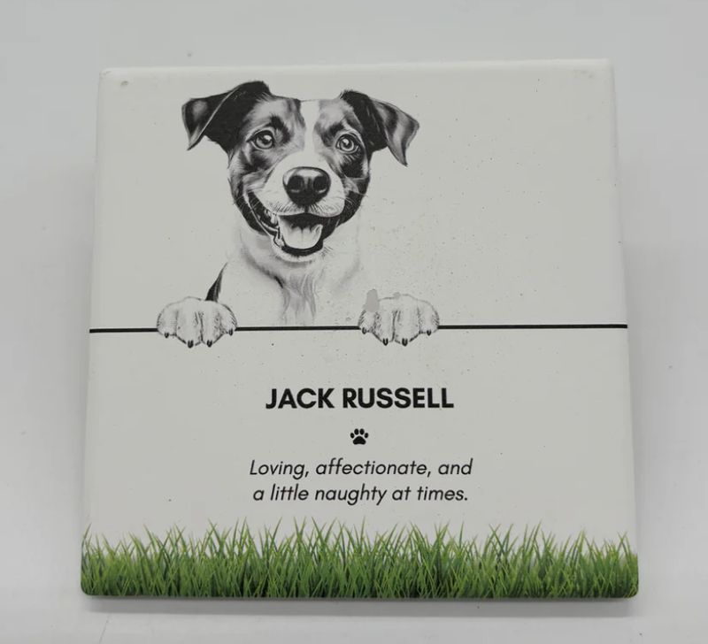 Jack Russell - Coaster