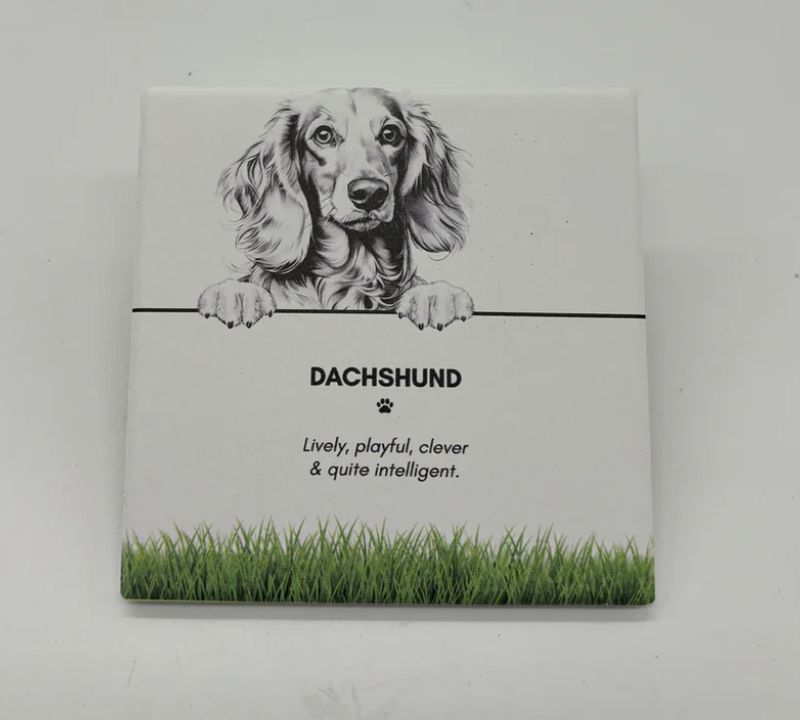 Dachshund - Coaster