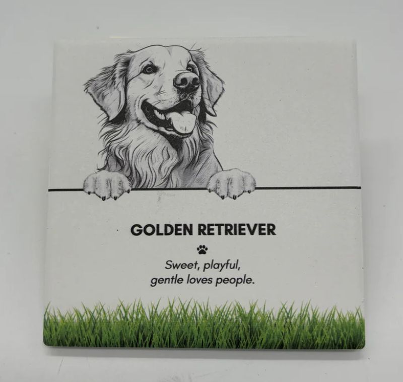 Golden Retriever - Coaster