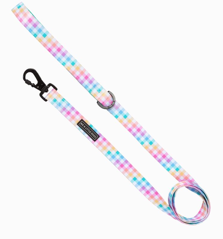 Dog Leash - Rainbow Gingham