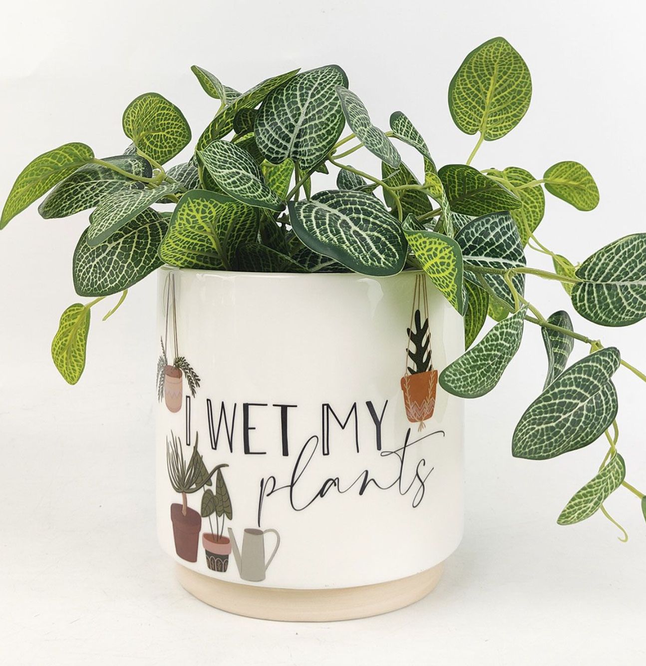 &#39;I Wet My Plants&#39; Planter