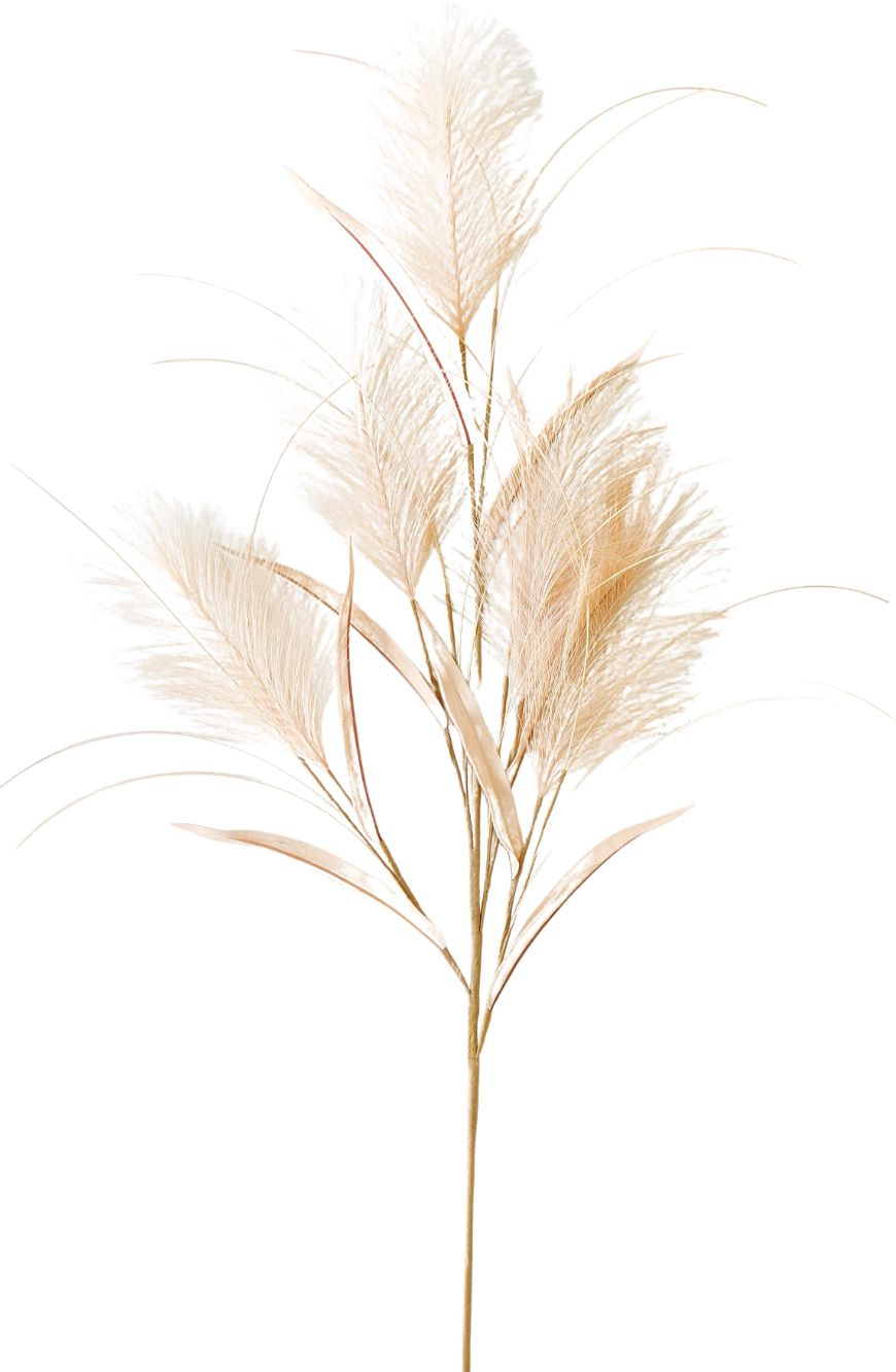Faux Feather Branch (cream)