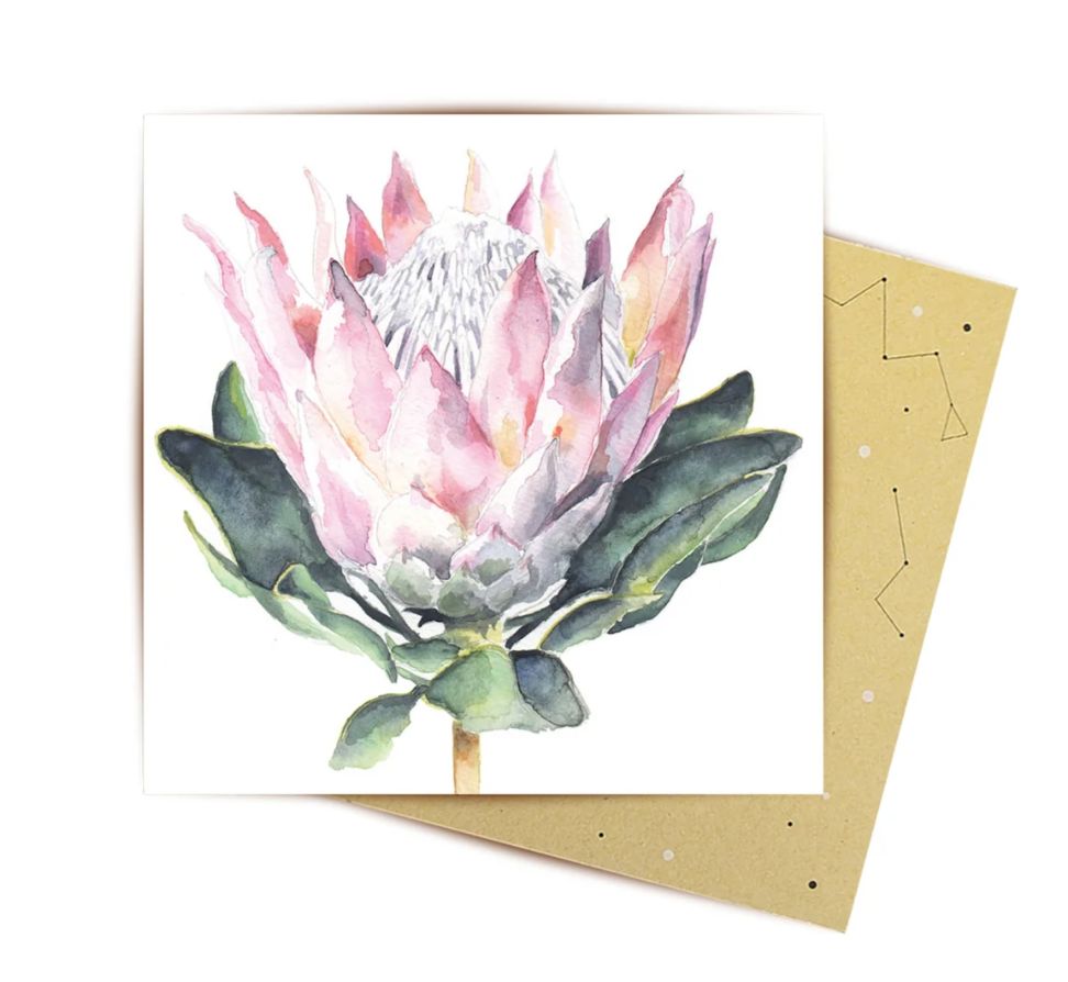 King Protea Mini Card