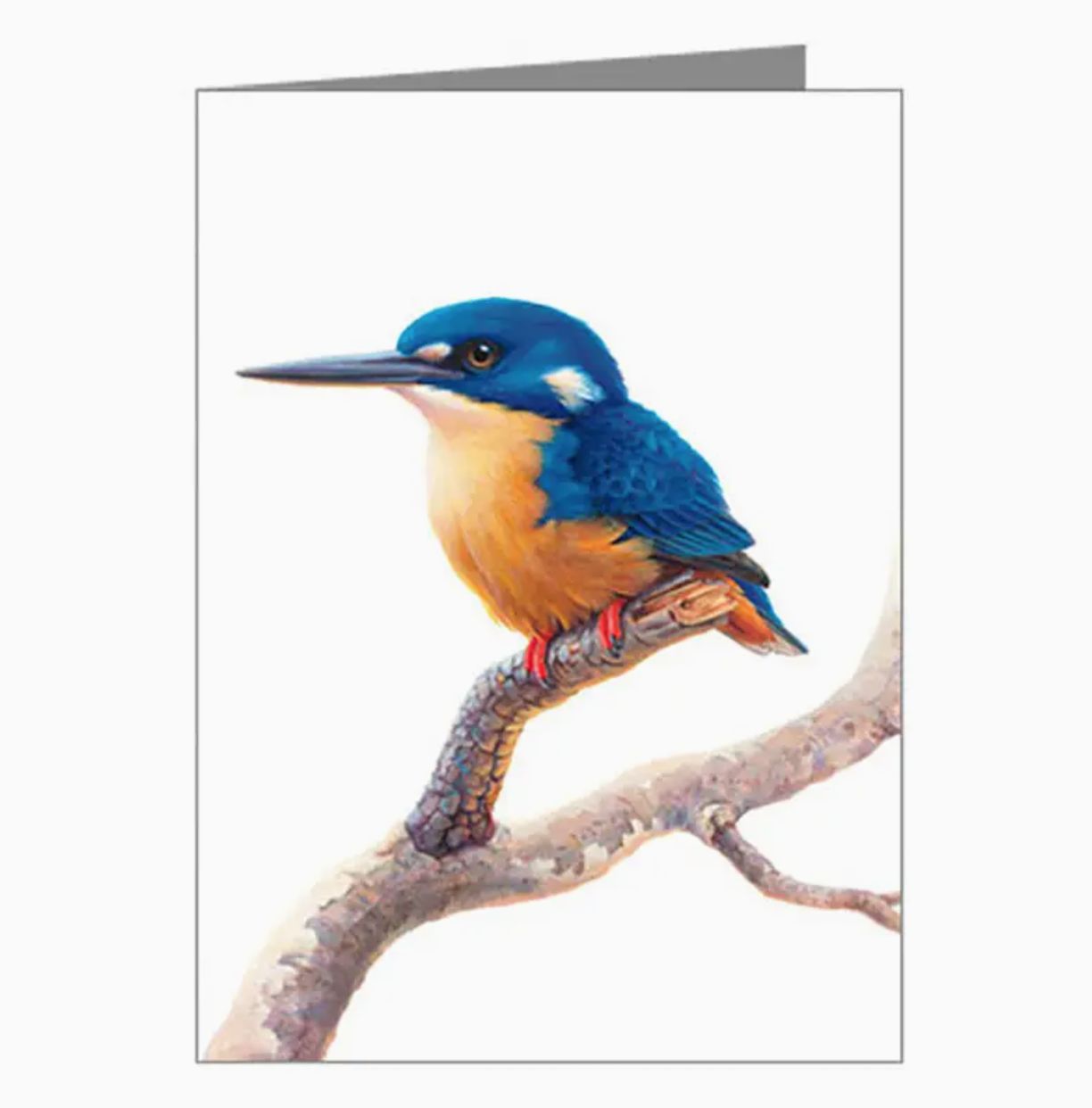 Azure Kingfisher - Card
