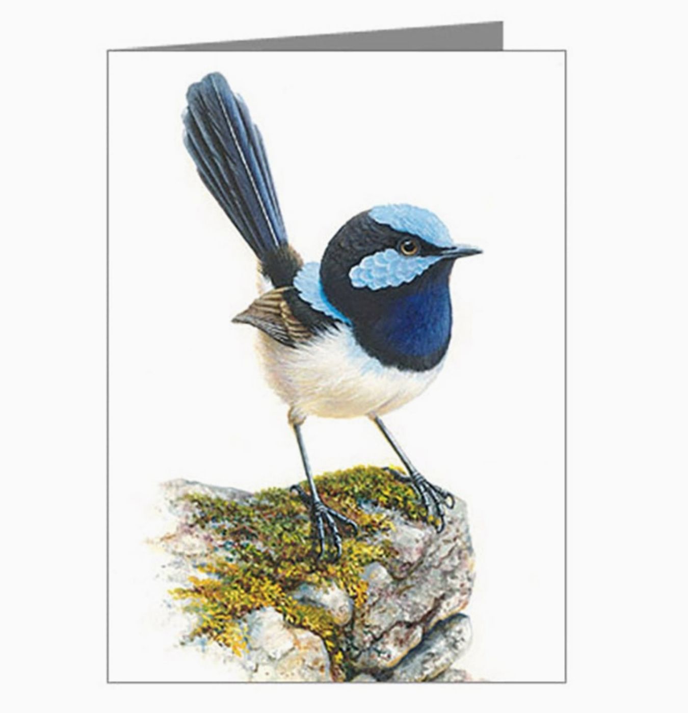 Blue Wren - Card
