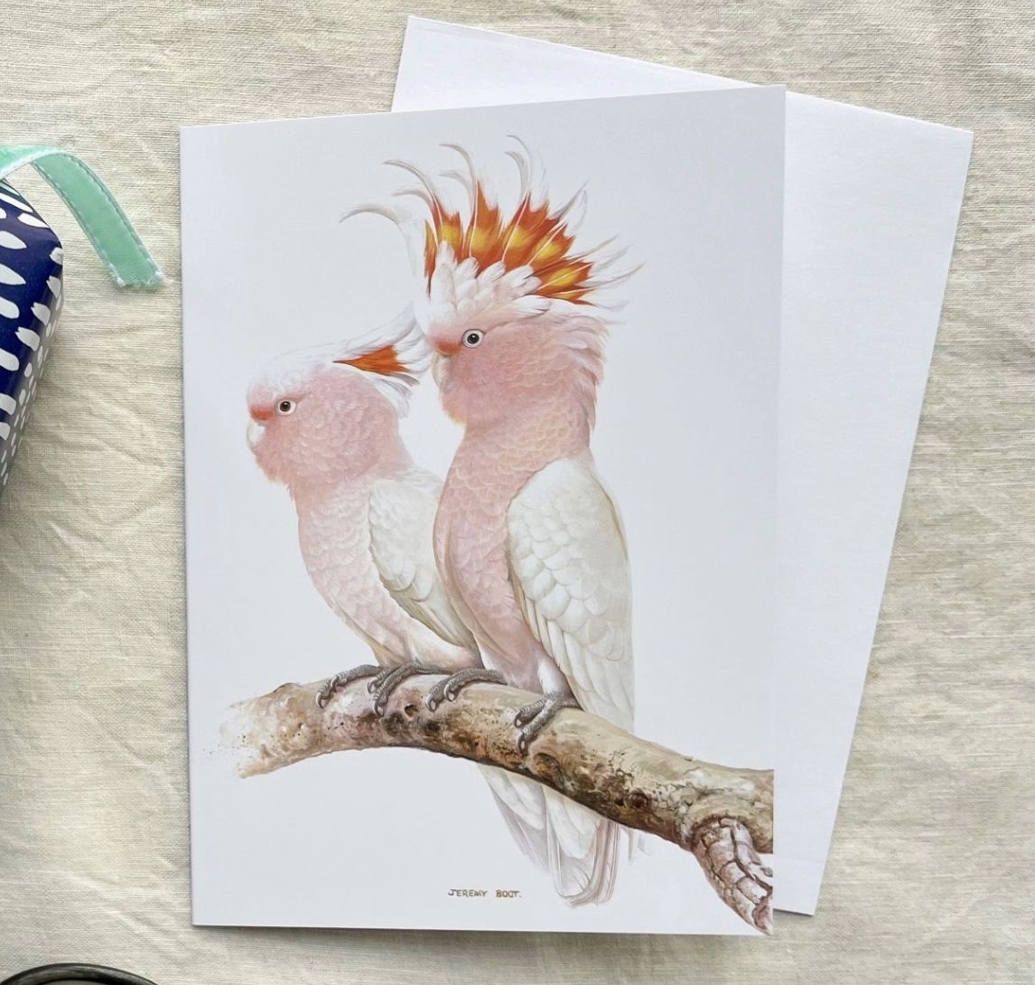 Gift Tag - Pink Cockatoo