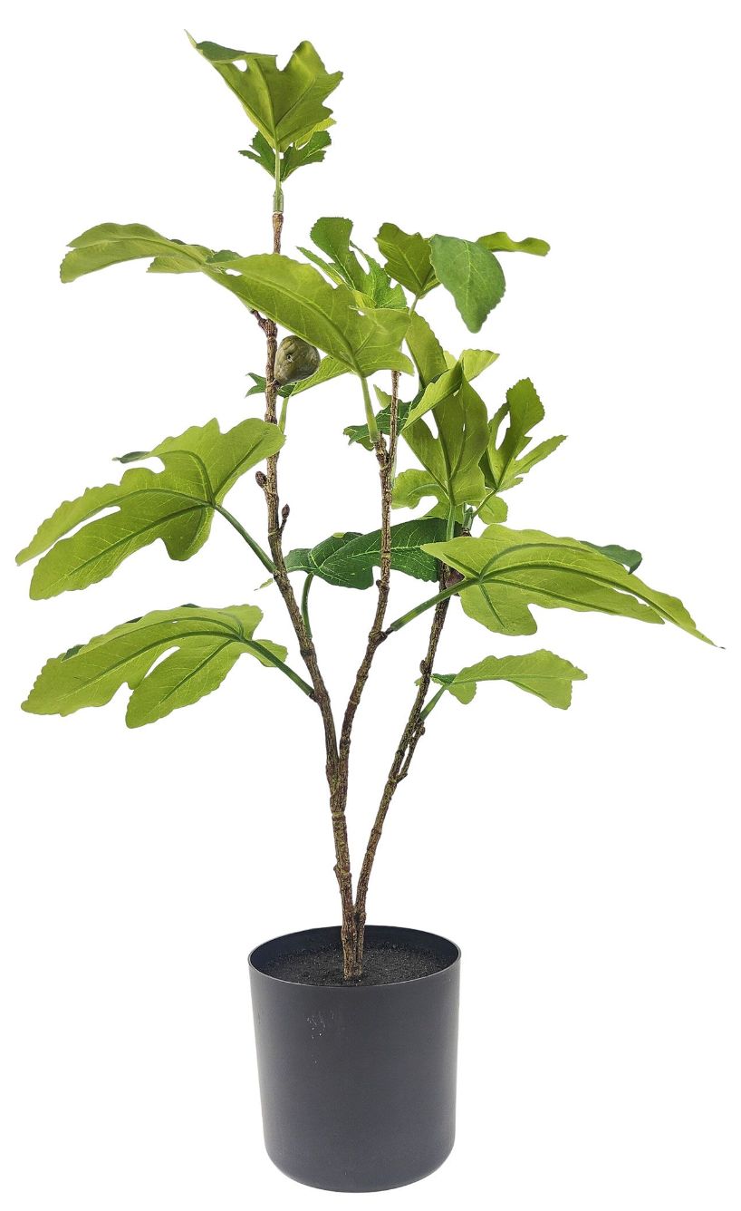 Fig Tree Plant (artificial)