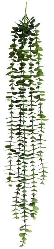 Round Leaf 5 Strand plant