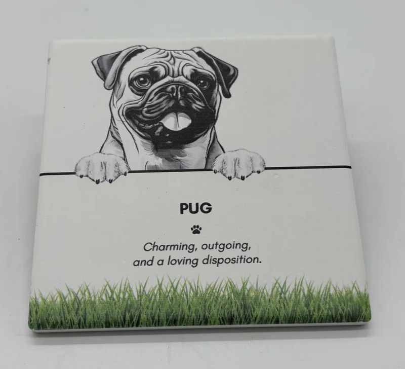Pug - Coaster