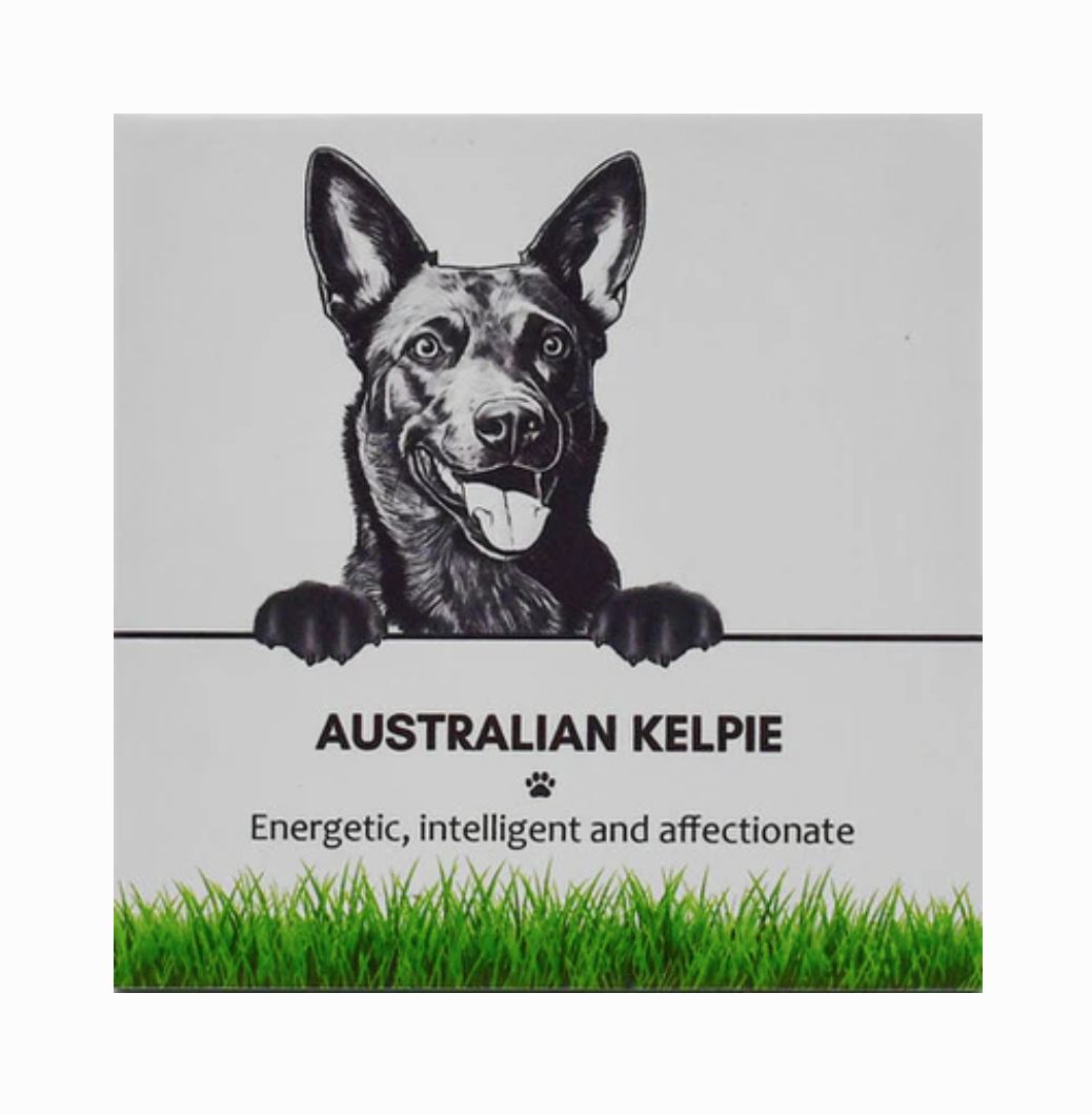 Australian Kelpie - Coaster