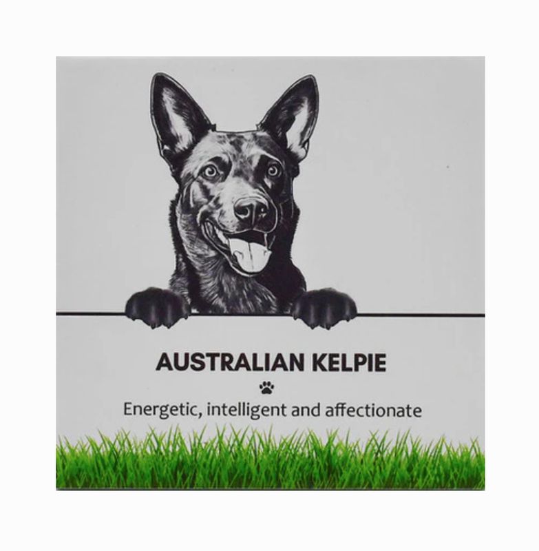Australian Kelpie - Coaster