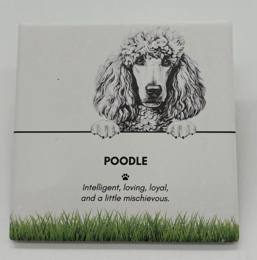 Poodle - Coaster